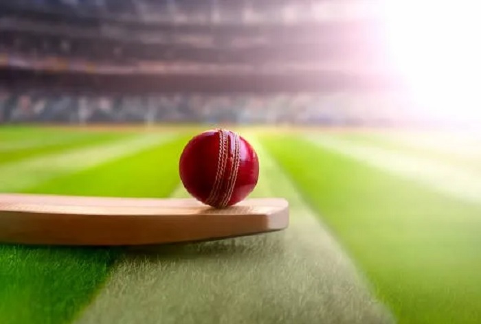 How to indulge in cricket betting with the help of expert advice?